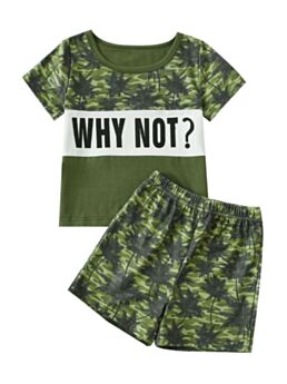 2 Pieces Little Boy Hawaii Style Set Why Not Tee Matching Shorts 
