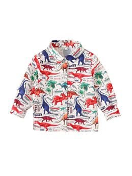 Kid Boy Trendy Dinosaur Shirt